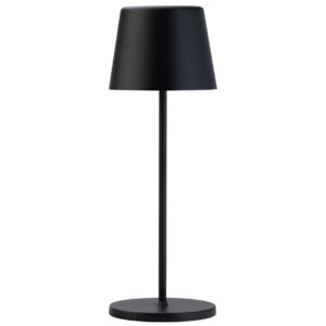 Svart (100)