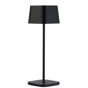 Svart (100)