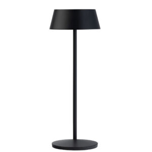 Svart (100)
