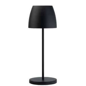 Svart (100)