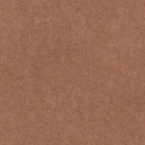 B56 – Coral Pink